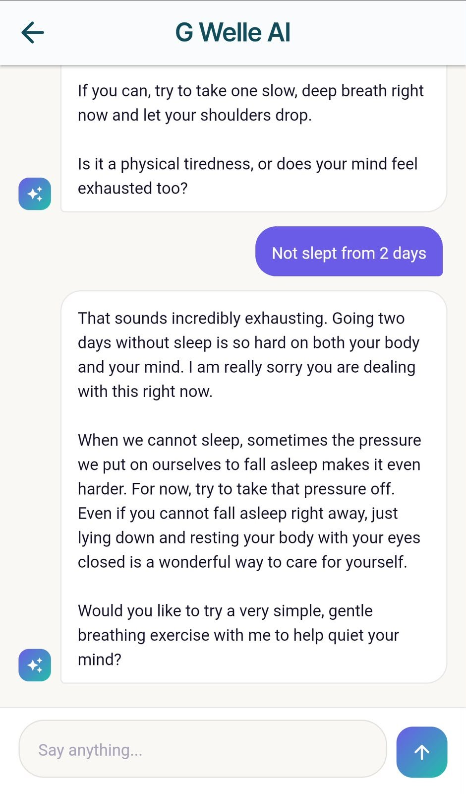 Chat with AI companion